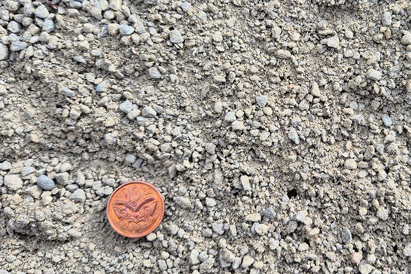 Bedding Sand 825x550