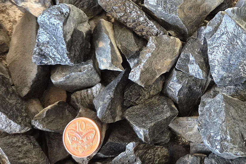 Black Chip 40mm 825x550