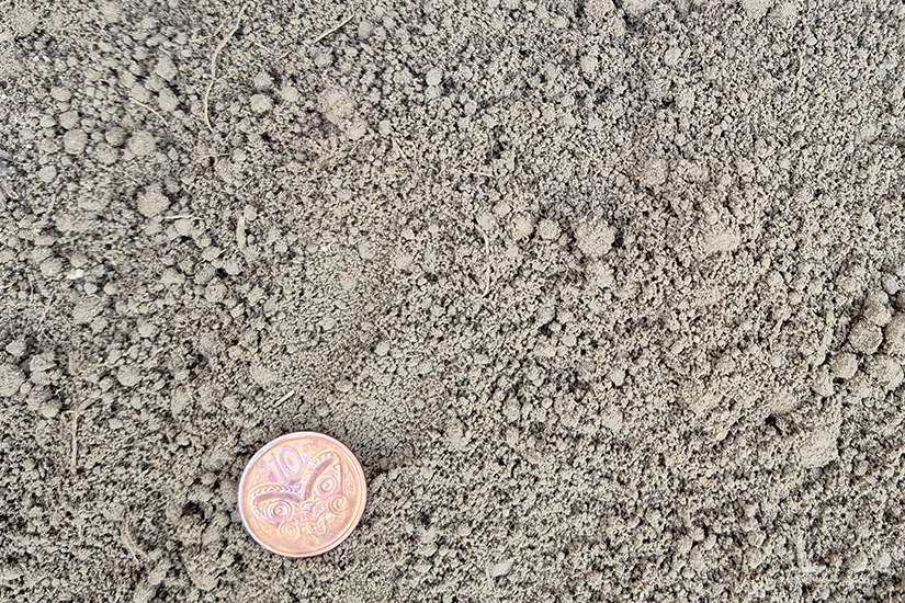 Screened soil 825x550