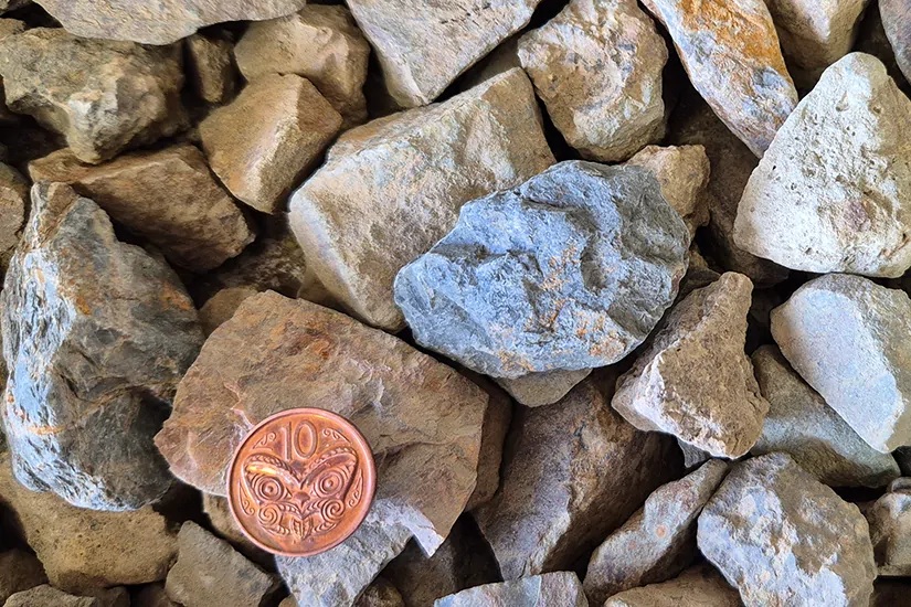 Teddington Chip 825x550