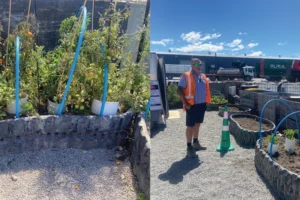 acl-rural-stories-006