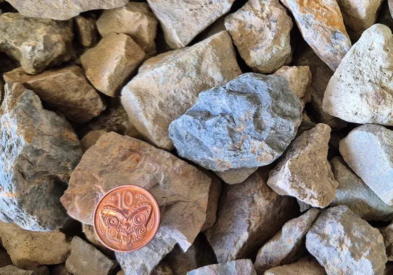 Teddington Chip 825x550