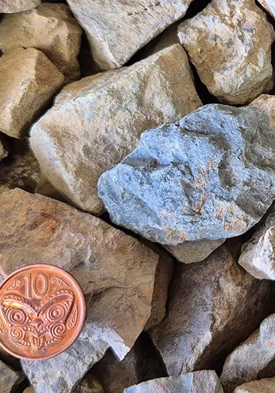 Teddington Chip 825x550